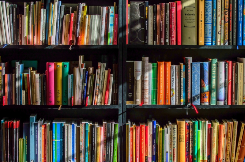 ecommerce-ESCRAGNOLLES-min_books_bookstore_book_reading_shop_writer_sale_books_read-822866