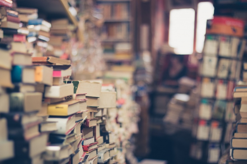 ecommerce-ESCRAGNOLLES-min_books_stack_book_store_stack_of_books_2nd_hand_retro_hipster_shop-829090